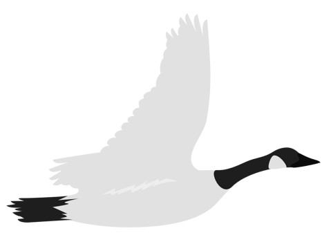 goose vector