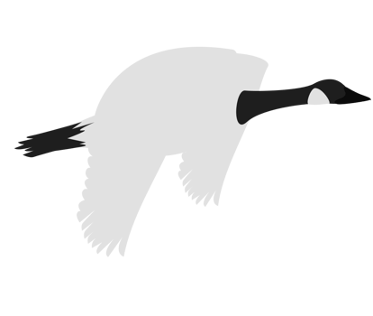 goose vector