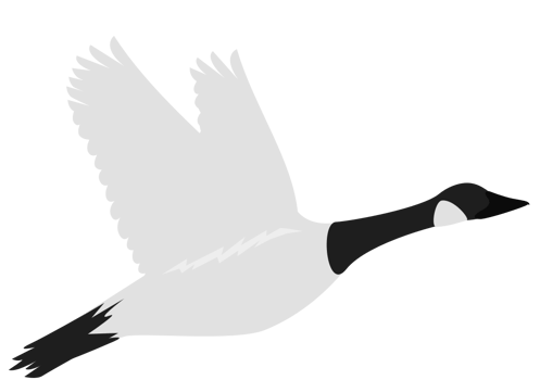 goose vector