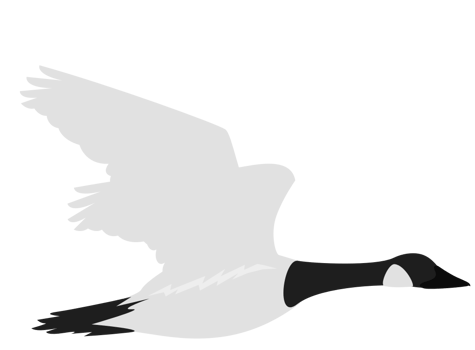 goose vector