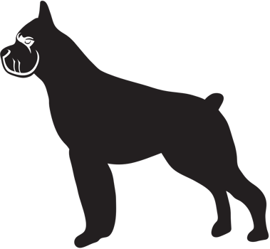 bulldog vector