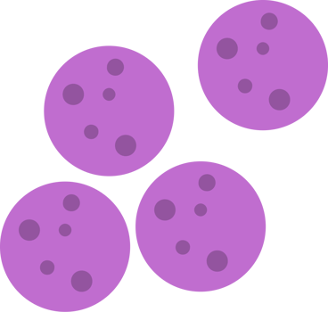 bacteria vector