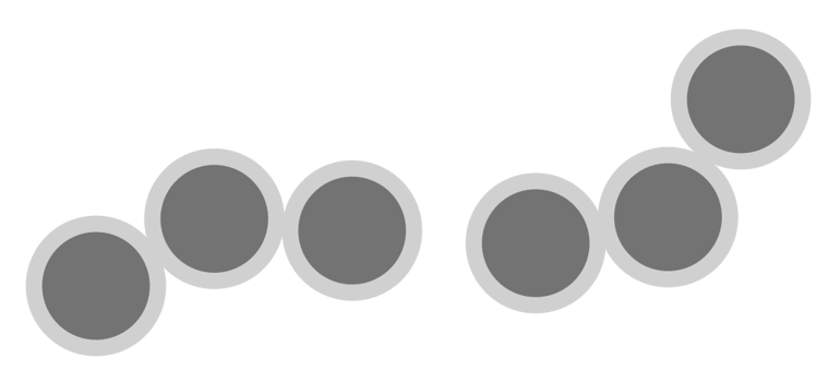 bacteria vector