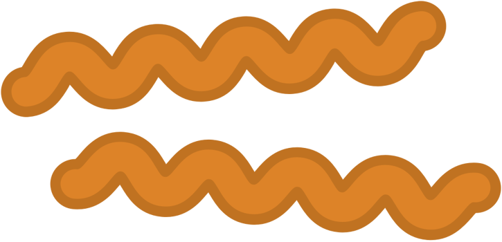 bacteria vector