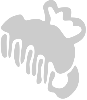 Hair Clip vector