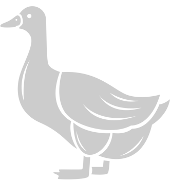 Turkey vector