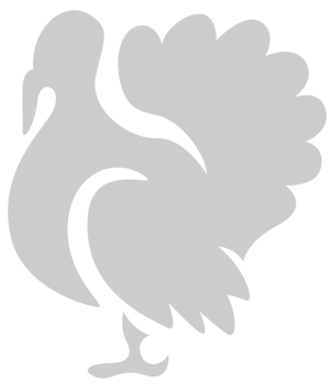 Turkey vector