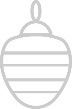 Ornament vector