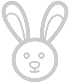 Easter Bunny vector