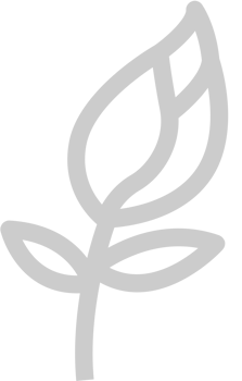 Easter Egg vector