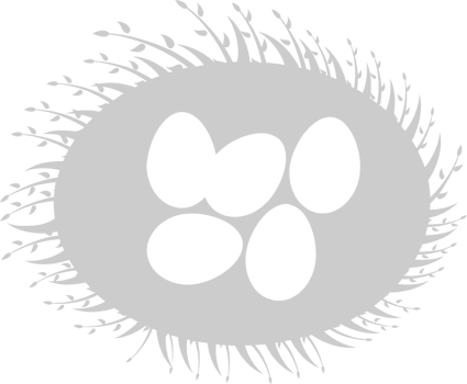 Eggs vector