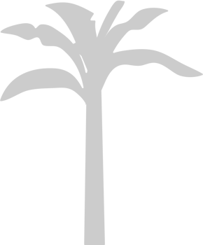 Palm Tree vector
