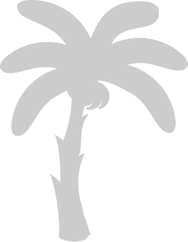 Palm Tree vector