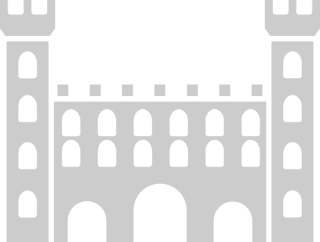 Castle vector