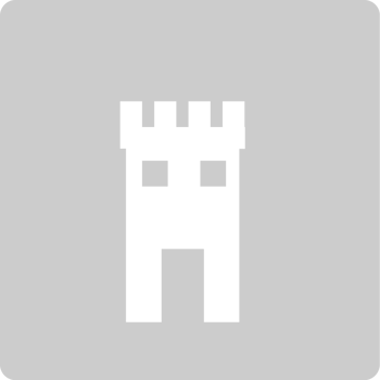 Castle vector