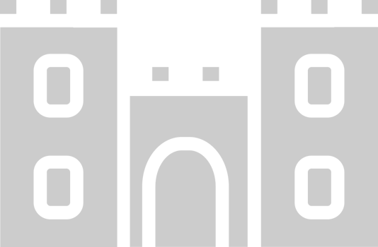Castle vector