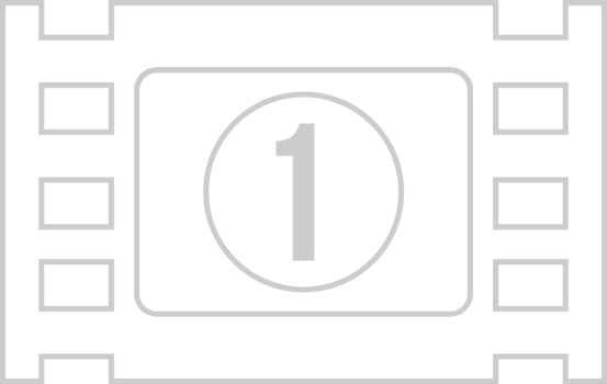 Ticket vector
