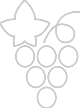 Grapes vector