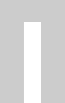 Pi vector