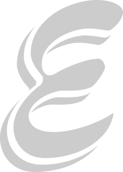 Epsilon vector