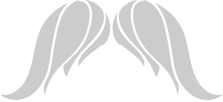 Mustache  vector
