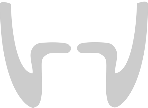 Mustache  vector