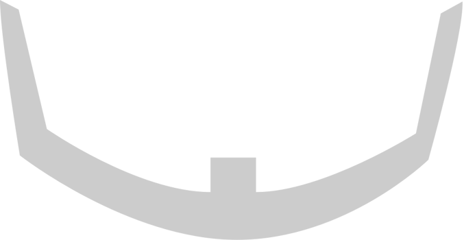 Beard vector