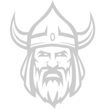 Viking vector