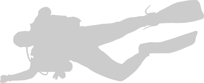 Diver vector