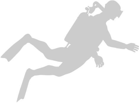 Diver vector
