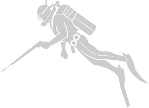 Diver vector