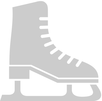 Ice Skate vector