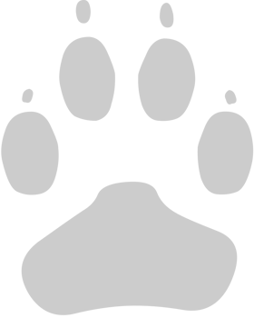 Paw vector