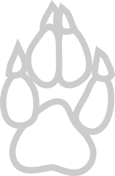 Paw vector