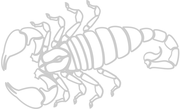 Scorpion vector