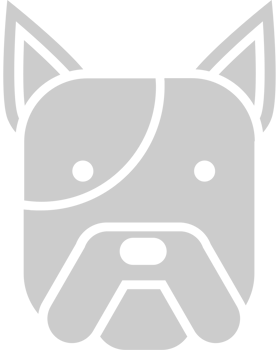 Bulldog vector