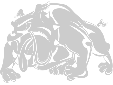 Bulldog vector