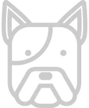 Bulldog vector