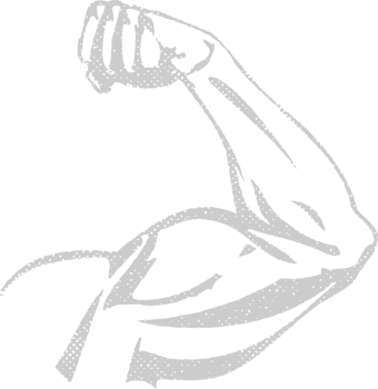 Muscles vector