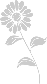 Sunflower  vector