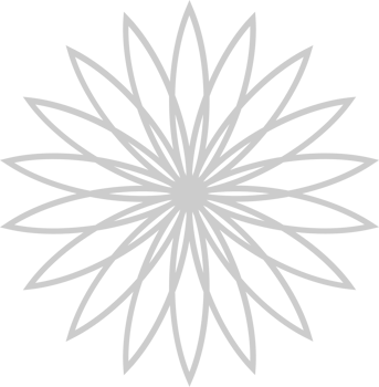 Sunflower vector