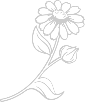 Sunflower vector