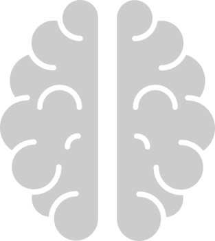 Brain vector