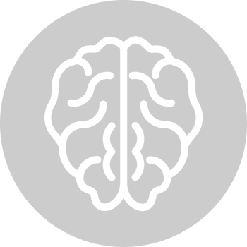 Brain vector