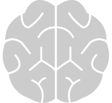 Brain  vector