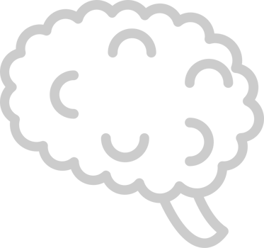 Brain vector