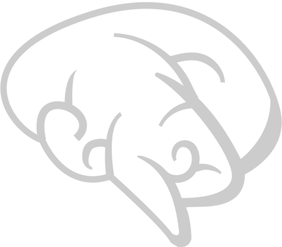 Brain vector