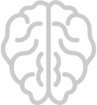 Brain vector