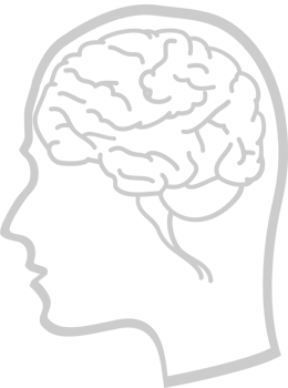 Brain vector