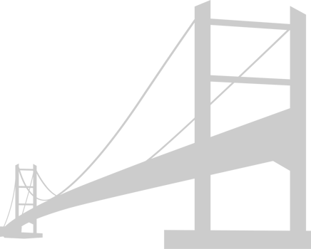 Bridge vector